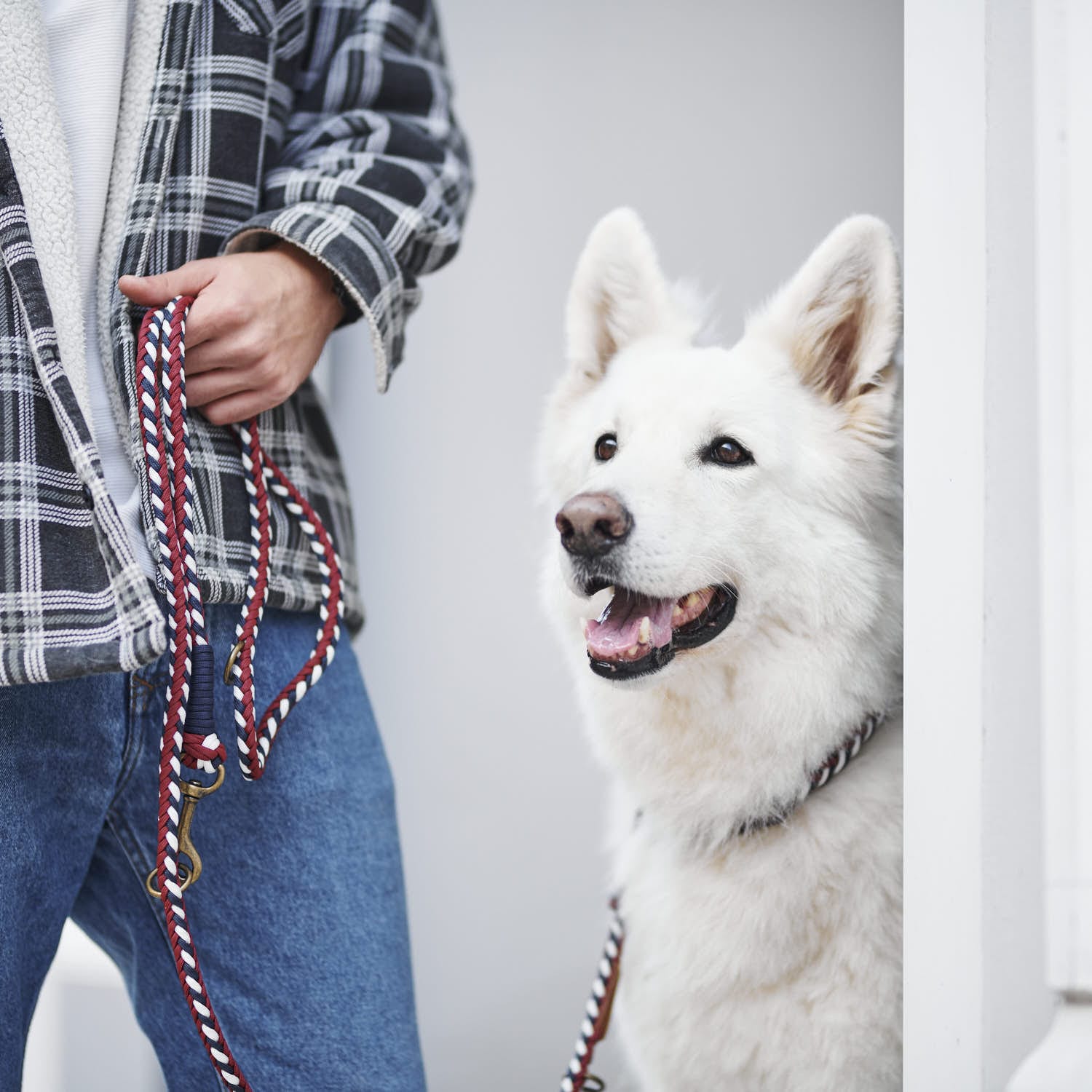 William Walker Paracord Hundeleine Royal