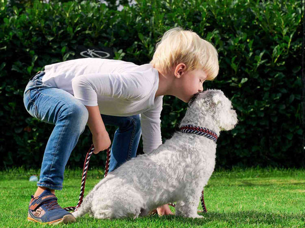 WilliamWalker Babyboom - so gelingt das Zusammenleben mit Baby und Hund