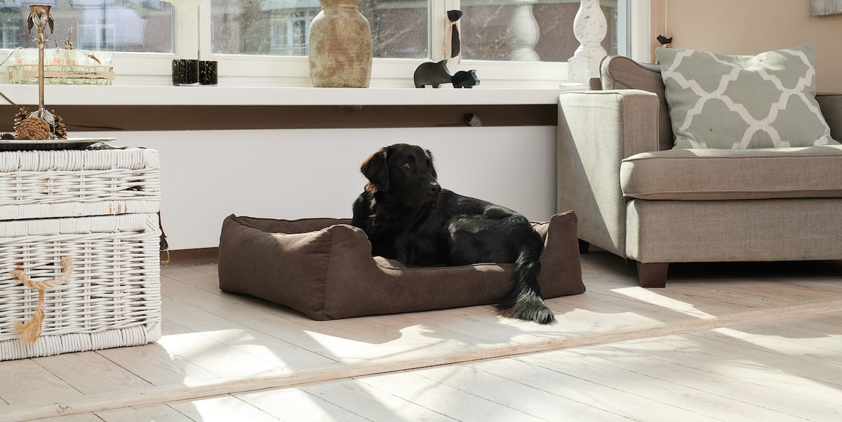 Kopie_von_William-Walker_Home- 