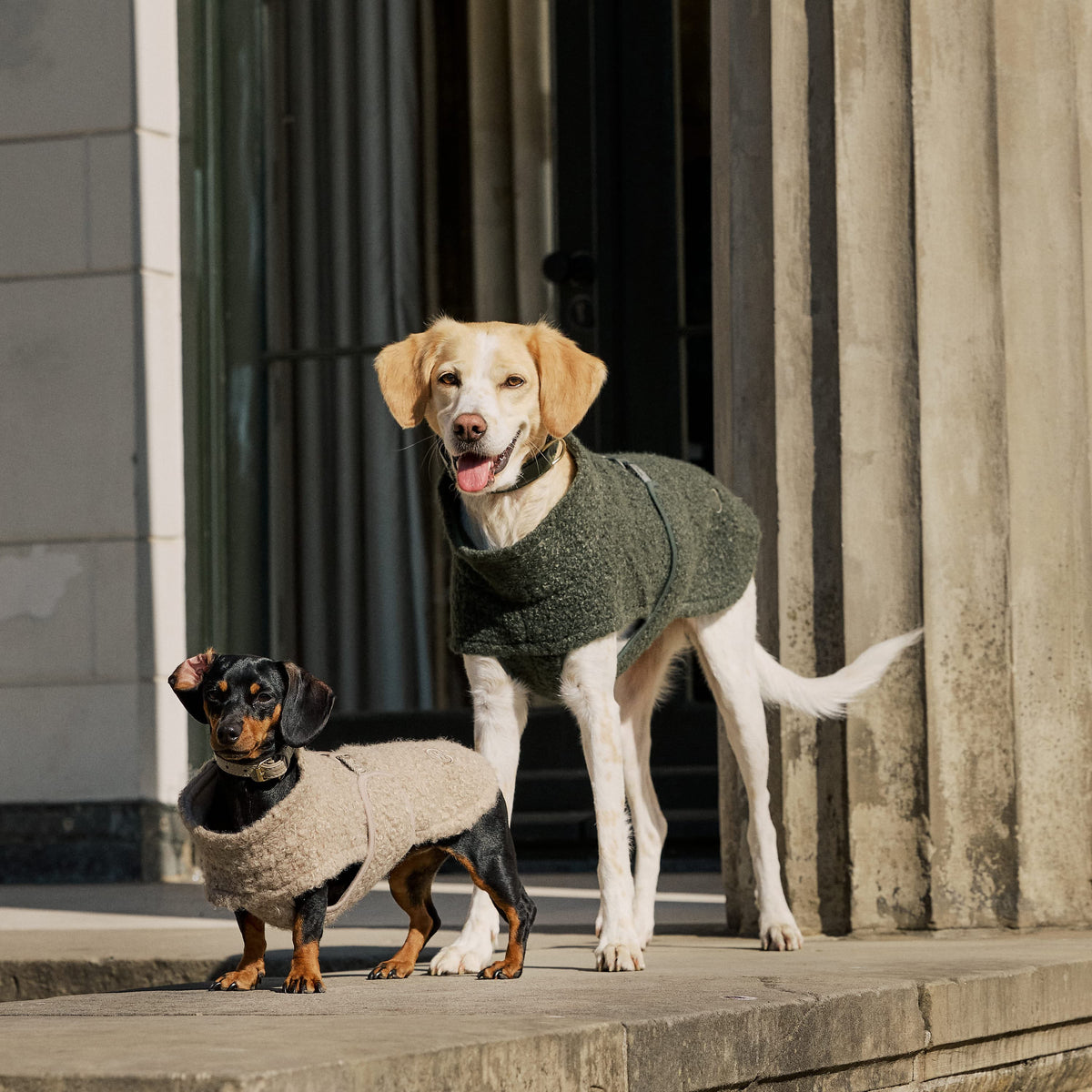 William Walker Manteau polaire douillet pour chien Cozy pour teckel Dark Moss / 2