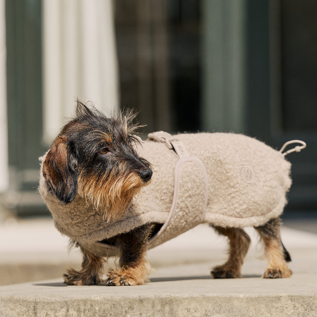 William Walker Manteau polaire douillet pour chien Cozy pour teckel Sand / 2