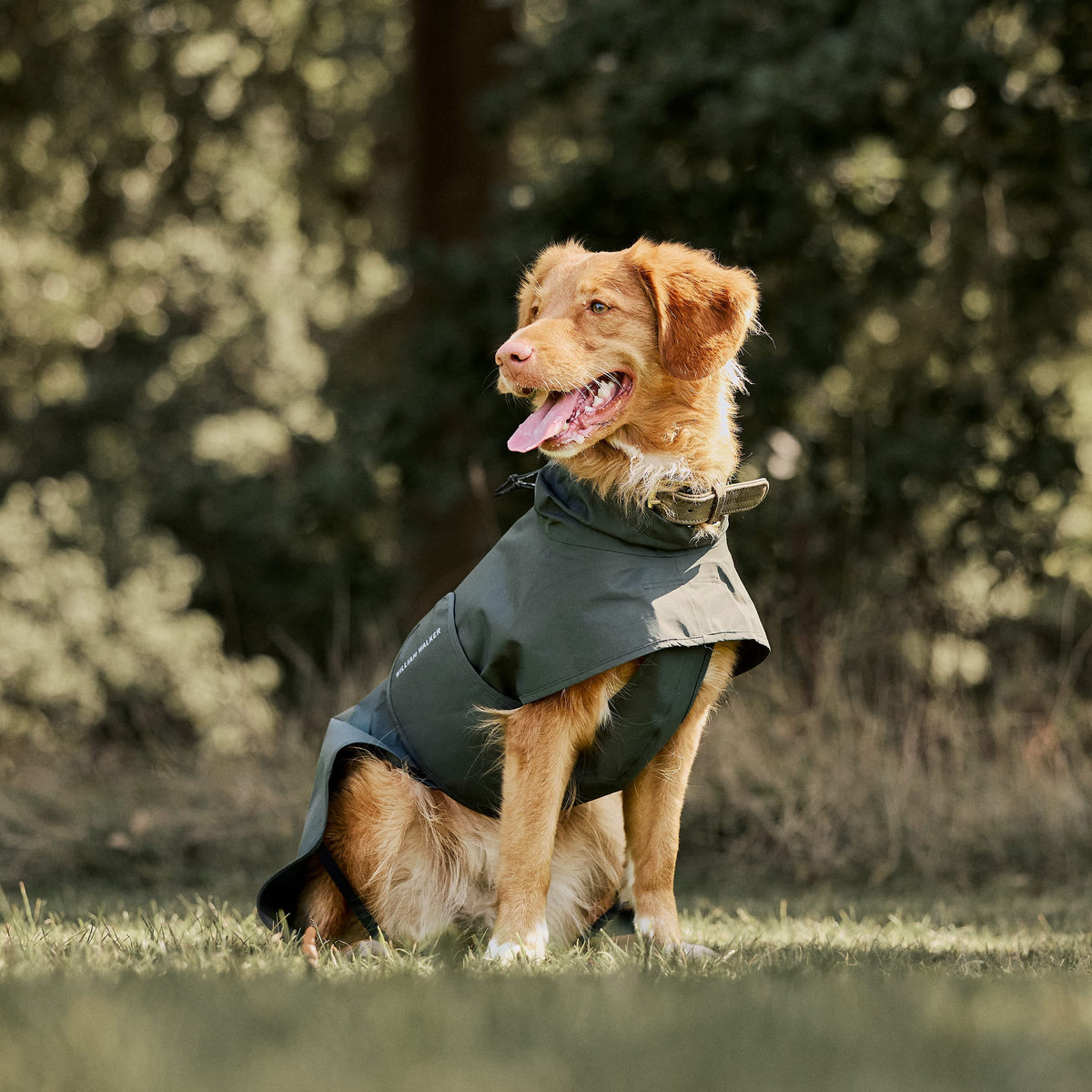 William Walker Imperméable pour chien Harbour