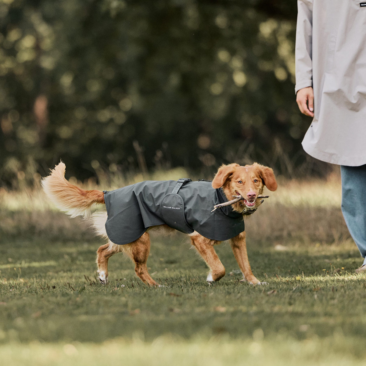William Walker Imperméable pour chien Harbour