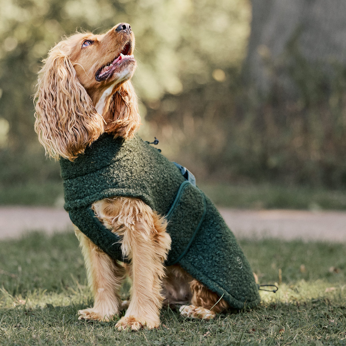 William Walker Manteau polaire douillet pour chien Cozy