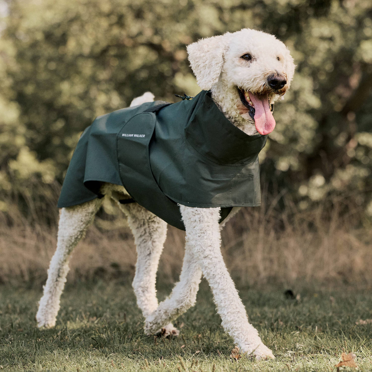 William Walker Imperméable pour chien Harbour Dark Moss / 1