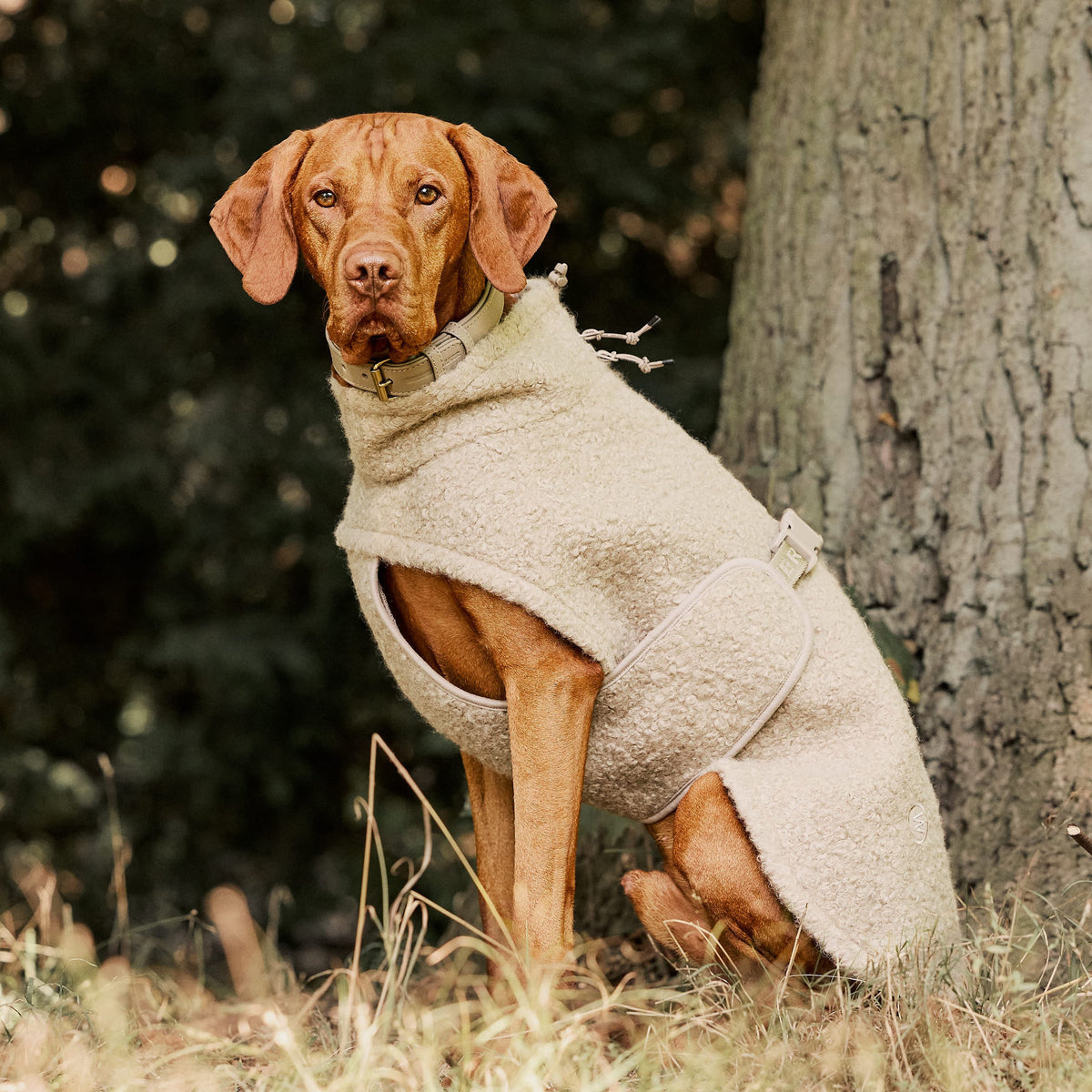 William Walker Manteau polaire douillet pour chien Cozy