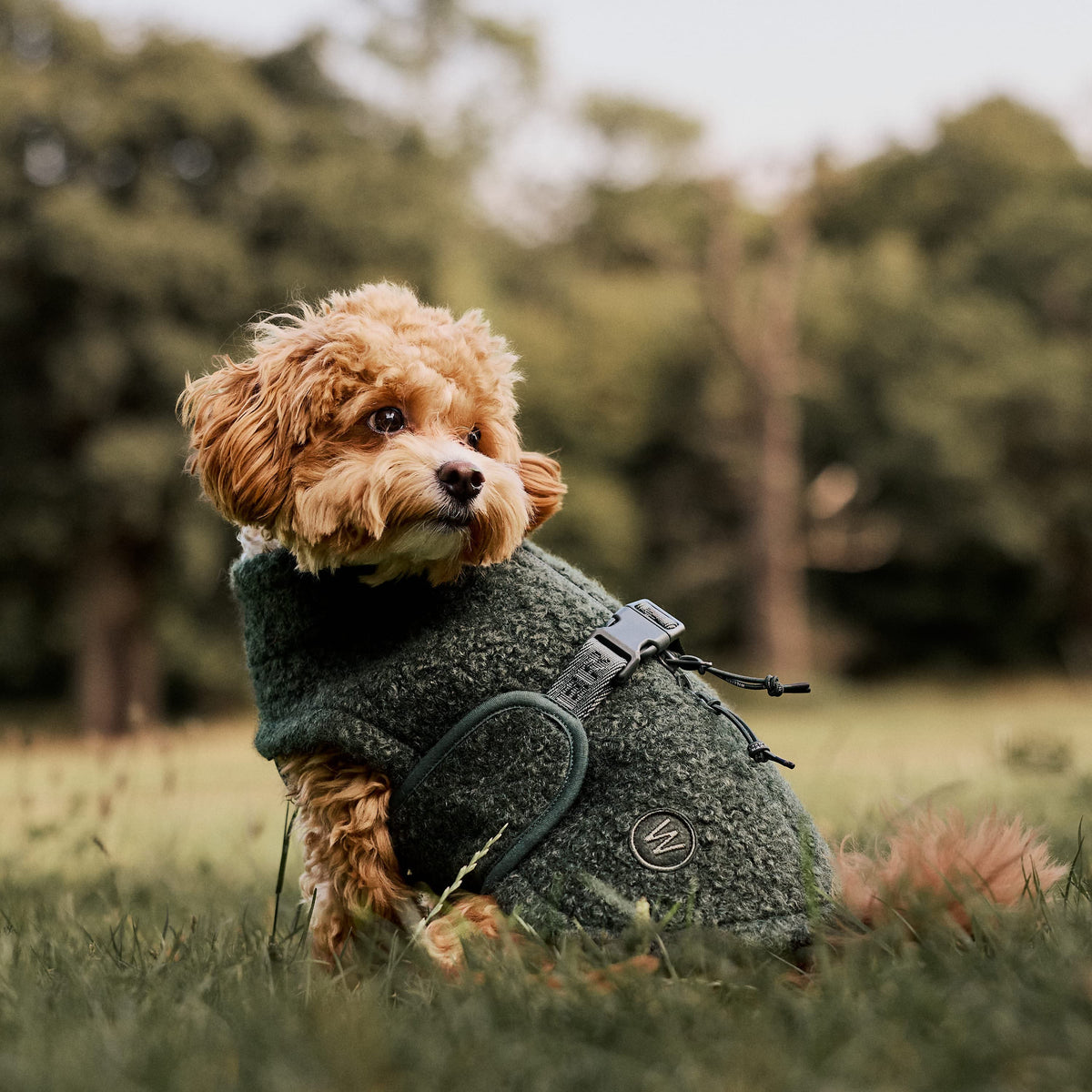 William Walker Manteau polaire douillet pour chien Cozy