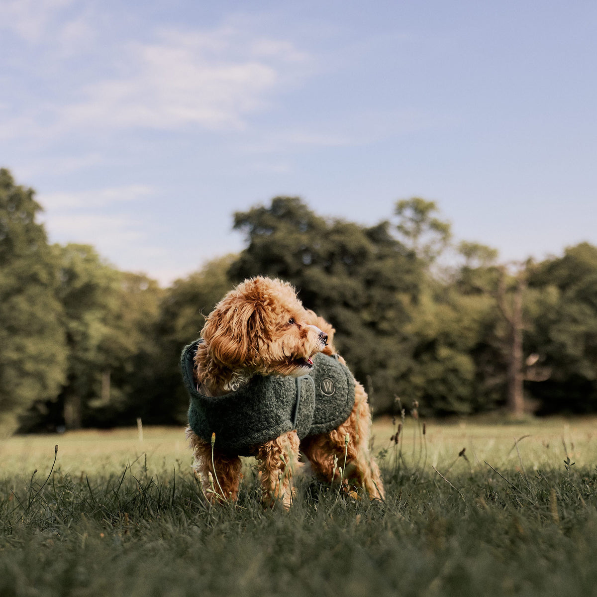 William Walker Manteau polaire douillet pour chien Cozy