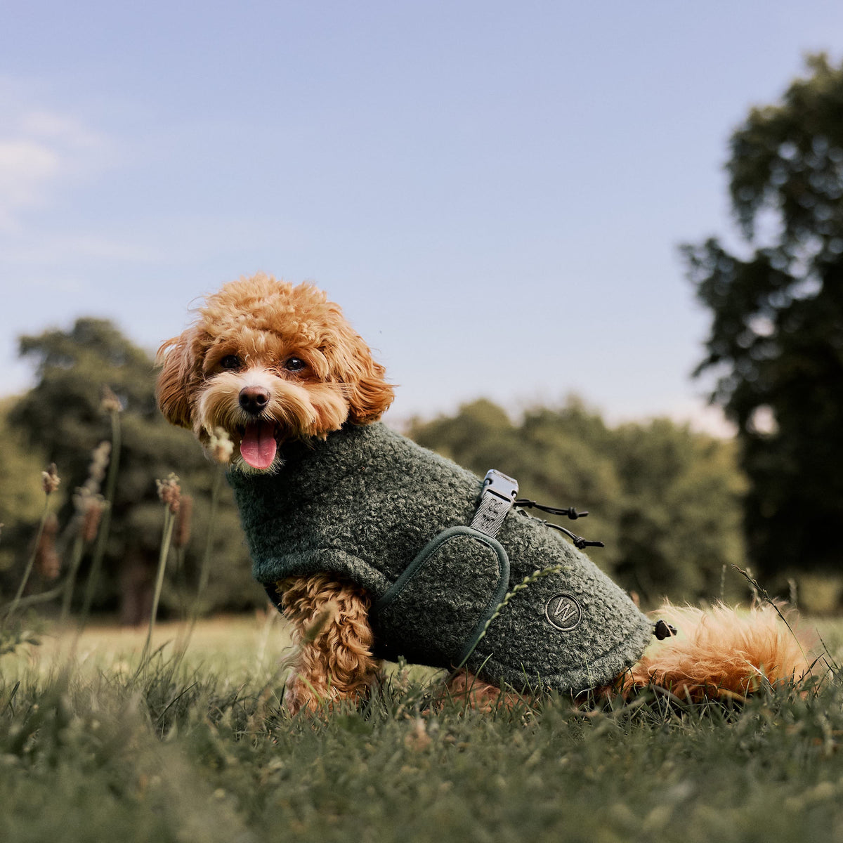 William Walker Manteau polaire douillet pour chien Cozy