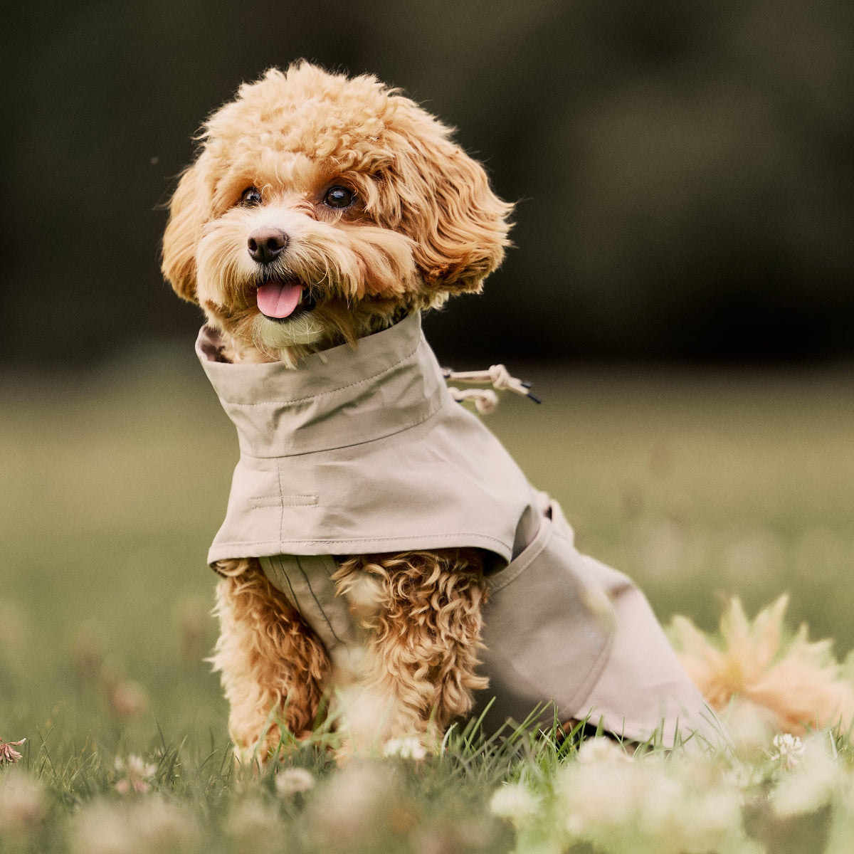 William Walker Imperméable pour chien Harbour