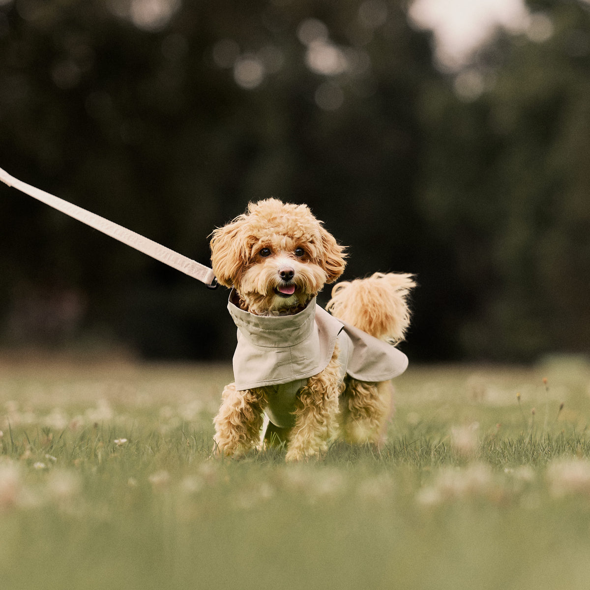 William Walker Imperméable pour chien Harbour