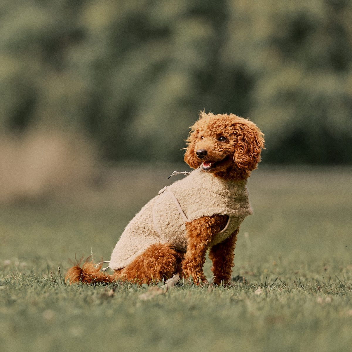 William Walker Manteau polaire douillet pour chien Cozy