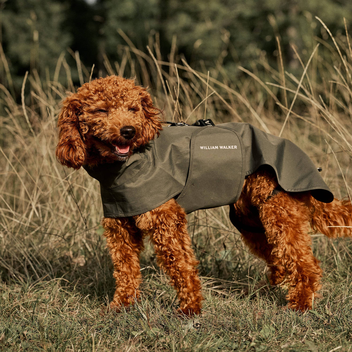 William Walker Imperméable pour chien Harbour