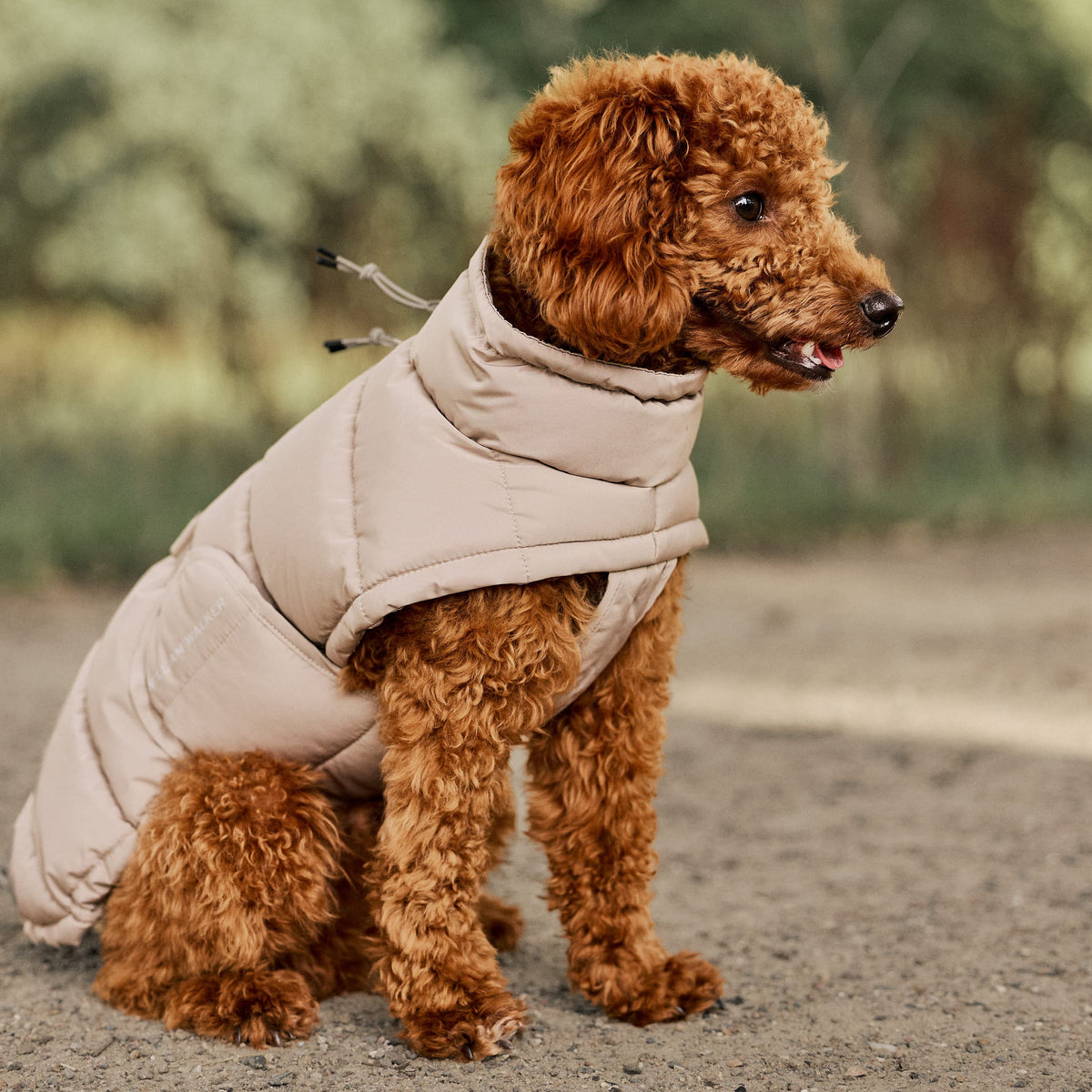 William Walker Manteau d'hiver chaud pour chien Alpine