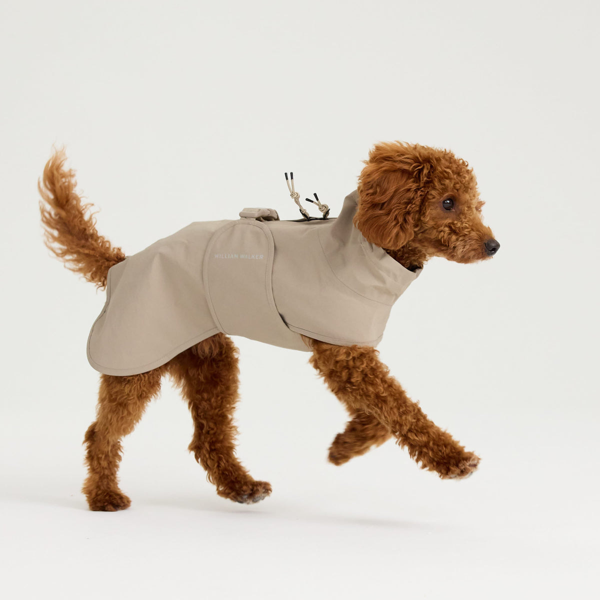 William Walker Imperméable pour chien Harbour Sand / 1