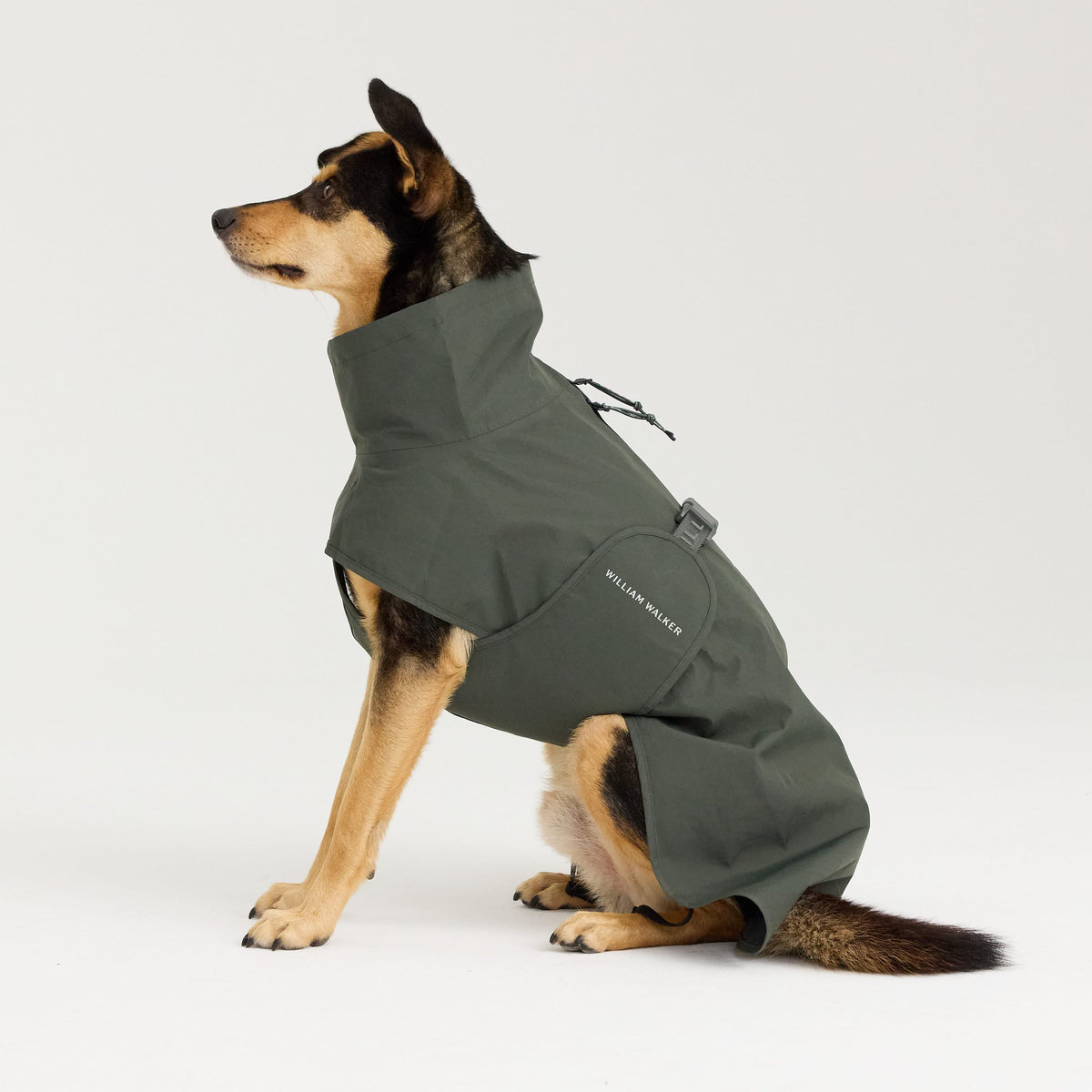 William Walker Imperméable pour chien Harbour