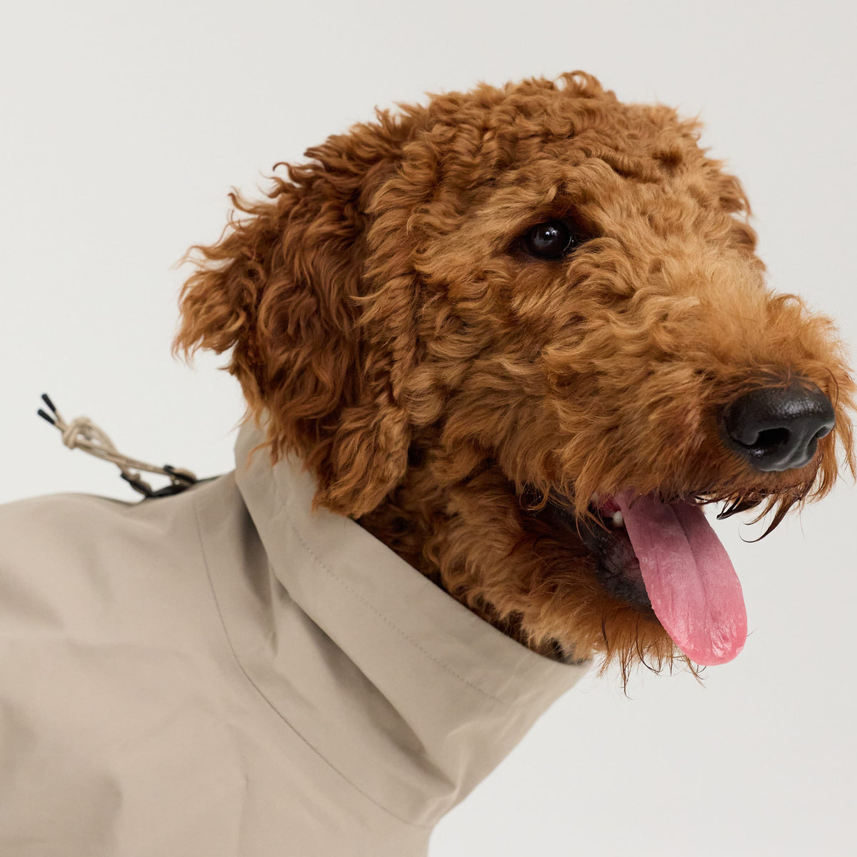 William Walker Imperméable pour chien Harbour
