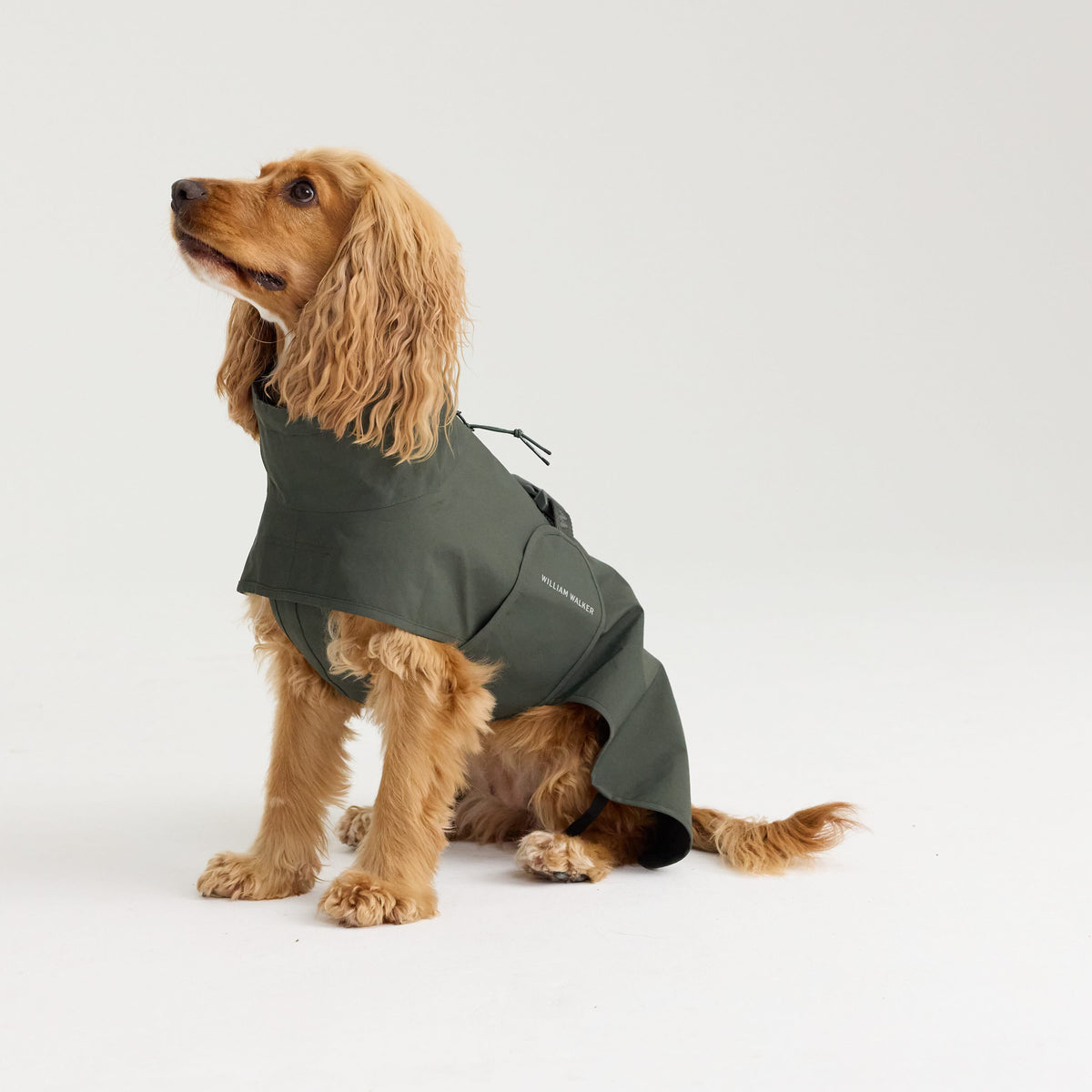 William Walker Imperméable pour chien Harbour