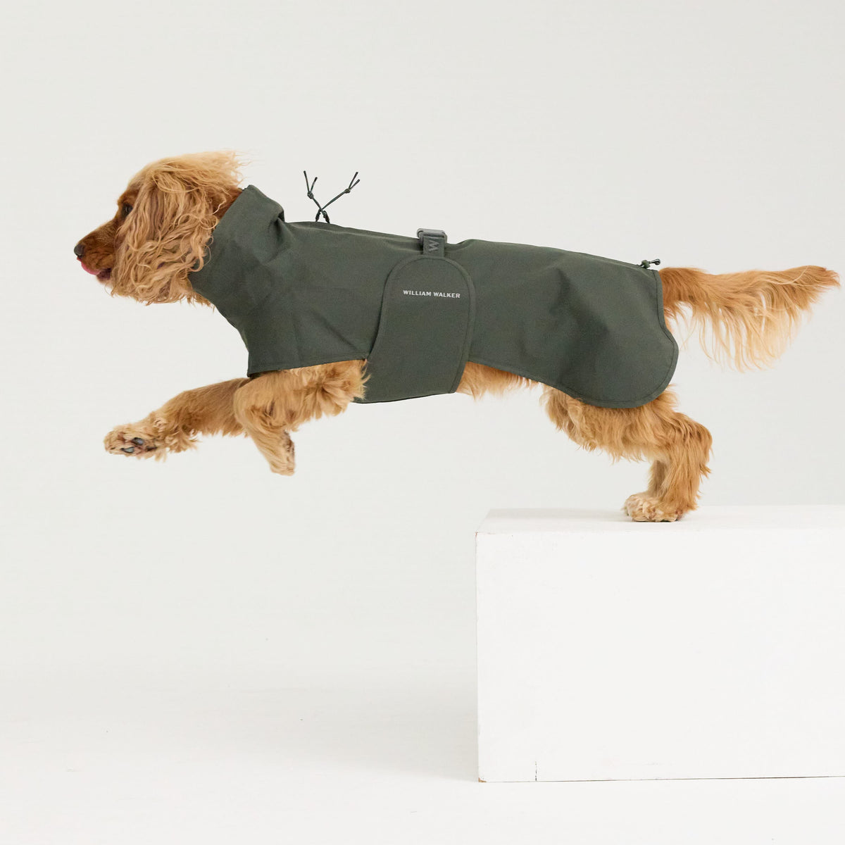 William Walker Imperméable pour chien Harbour