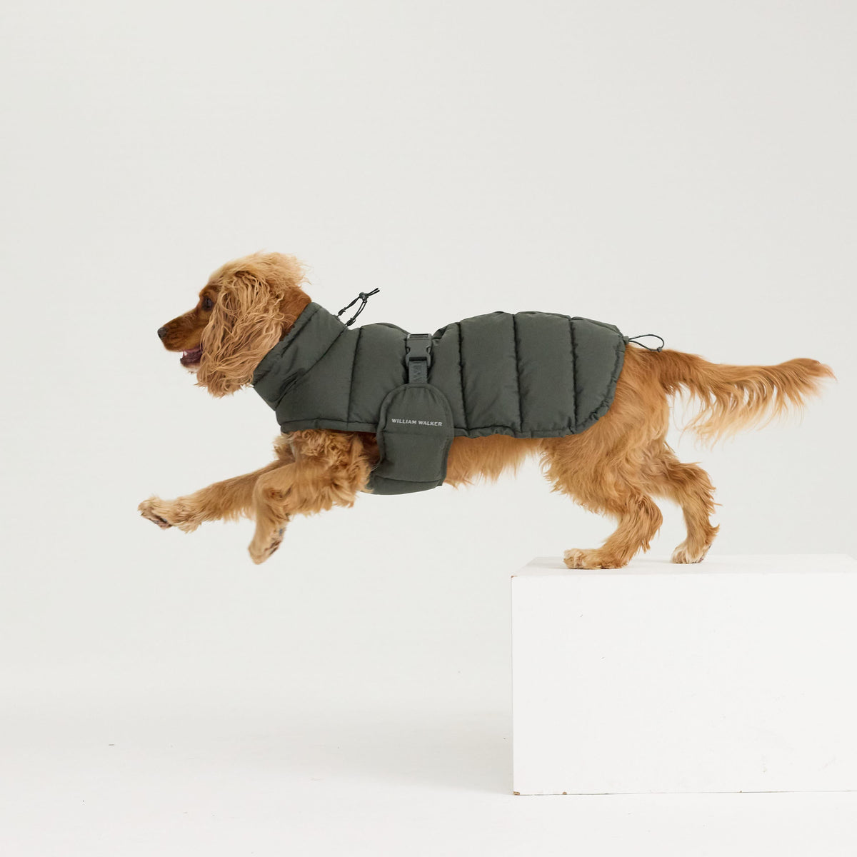 William Walker Manteau d'hiver chaud pour chien Alpine