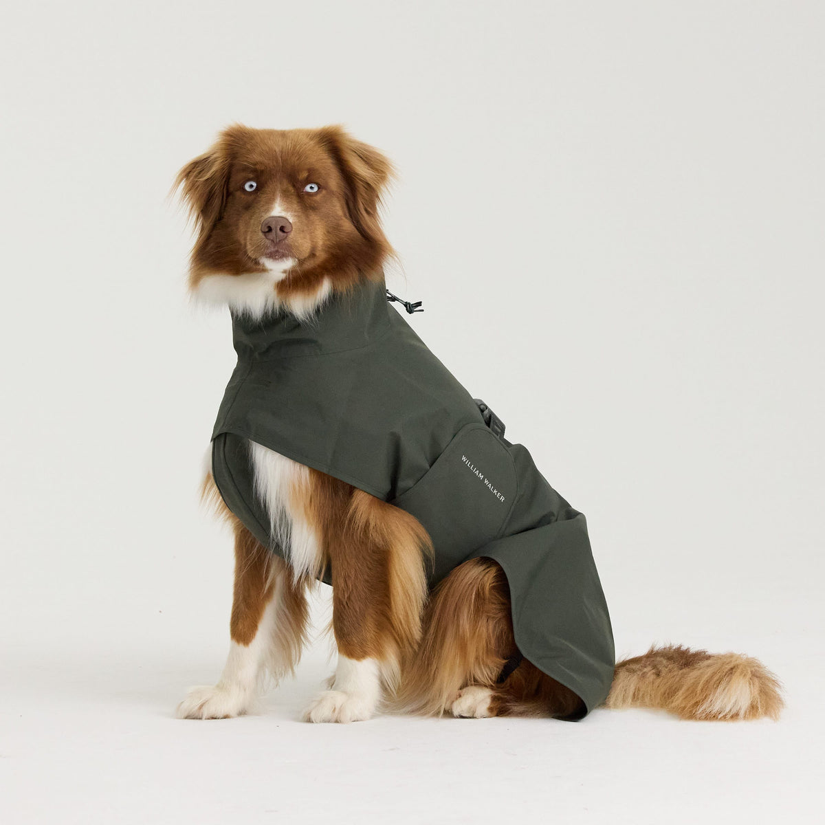 William Walker Imperméable pour chien Harbour