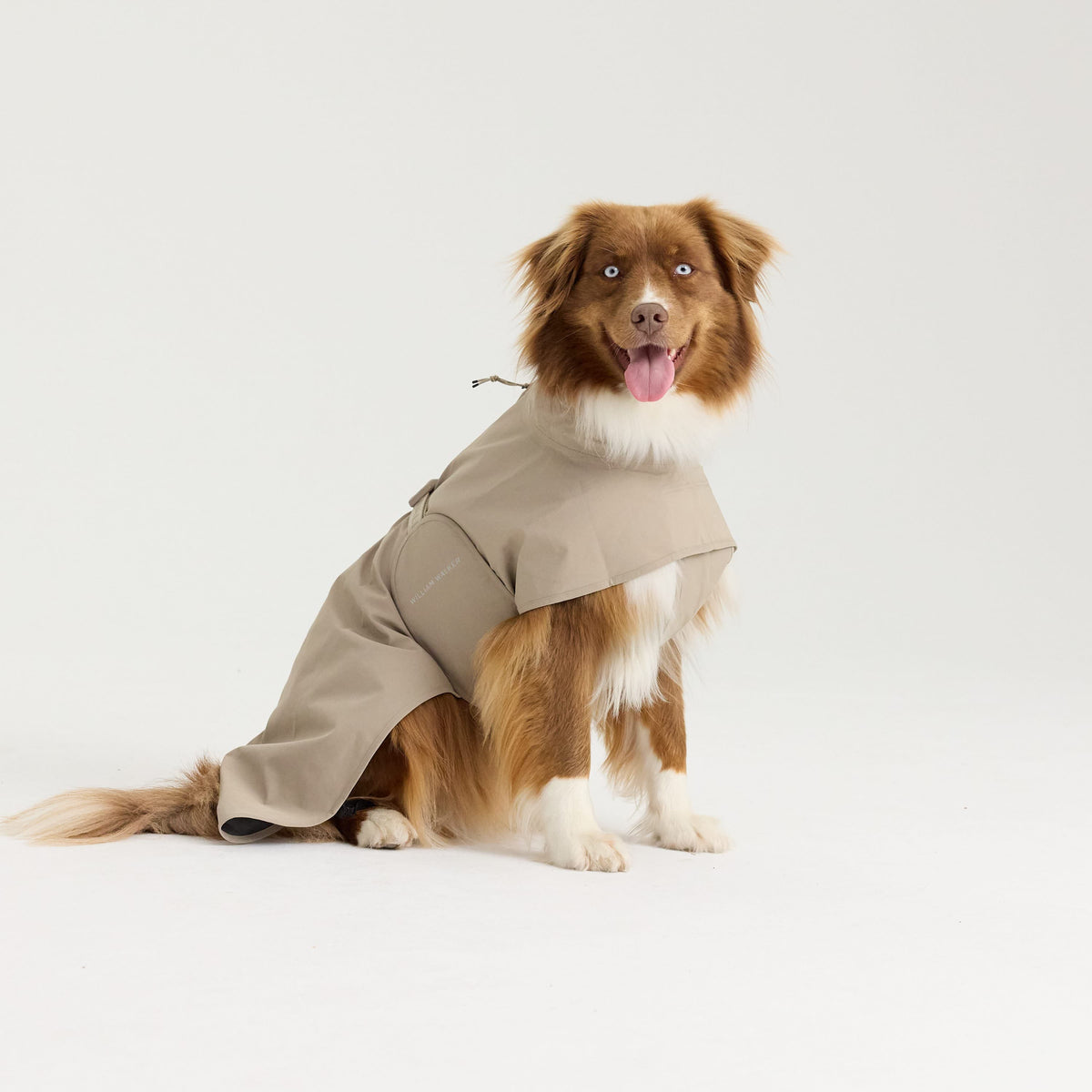 William Walker Imperméable pour chien Harbour
