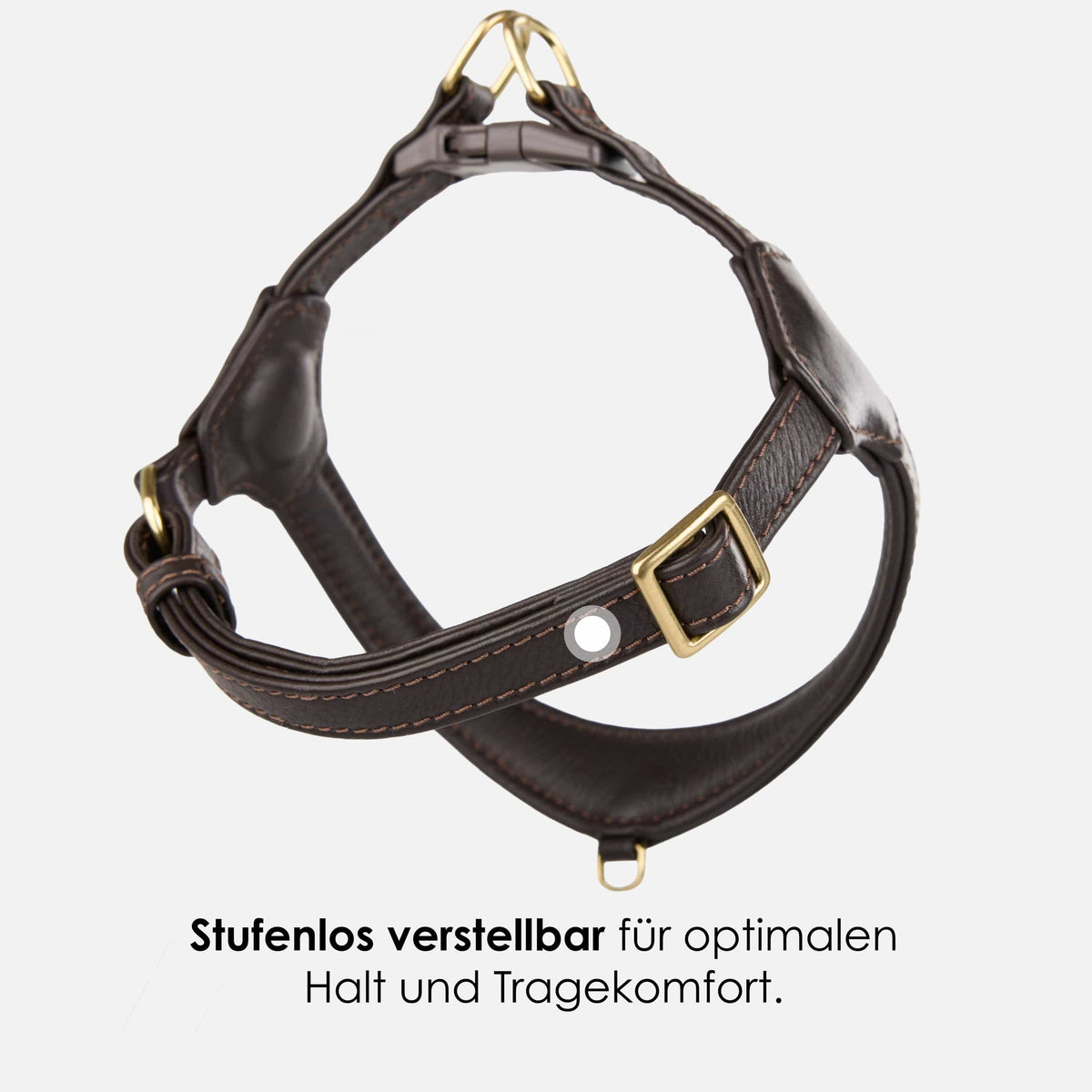 William Walker Step-In Leder Geschirr Pico für kleine Hunde Earth / 1