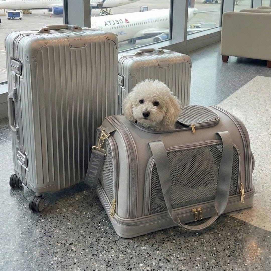 William Walker Hundetragetasche fürs Flugzeug Cloud Nest (Grau)