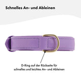 Hochwertiges Echtleder-Hundehalsband - Verstellbar, robust und ideal für kleine und große Hunde in stylischem Lila / Lavendel und mit goldenen Schnallen. 
