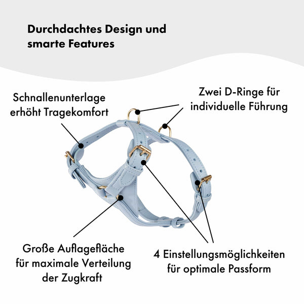 William Walker Leder-Hundegeschirr Sky (Baby-Blau)