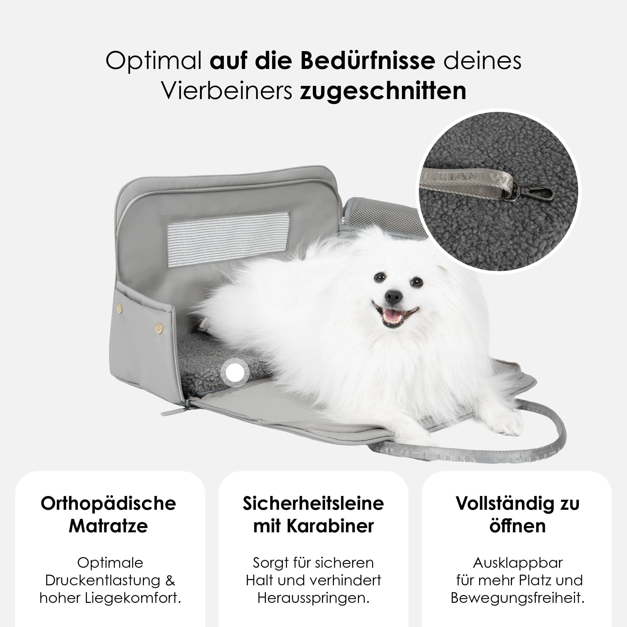 William Walker Hundetragetasche fürs Flugzeug Cloud Summit