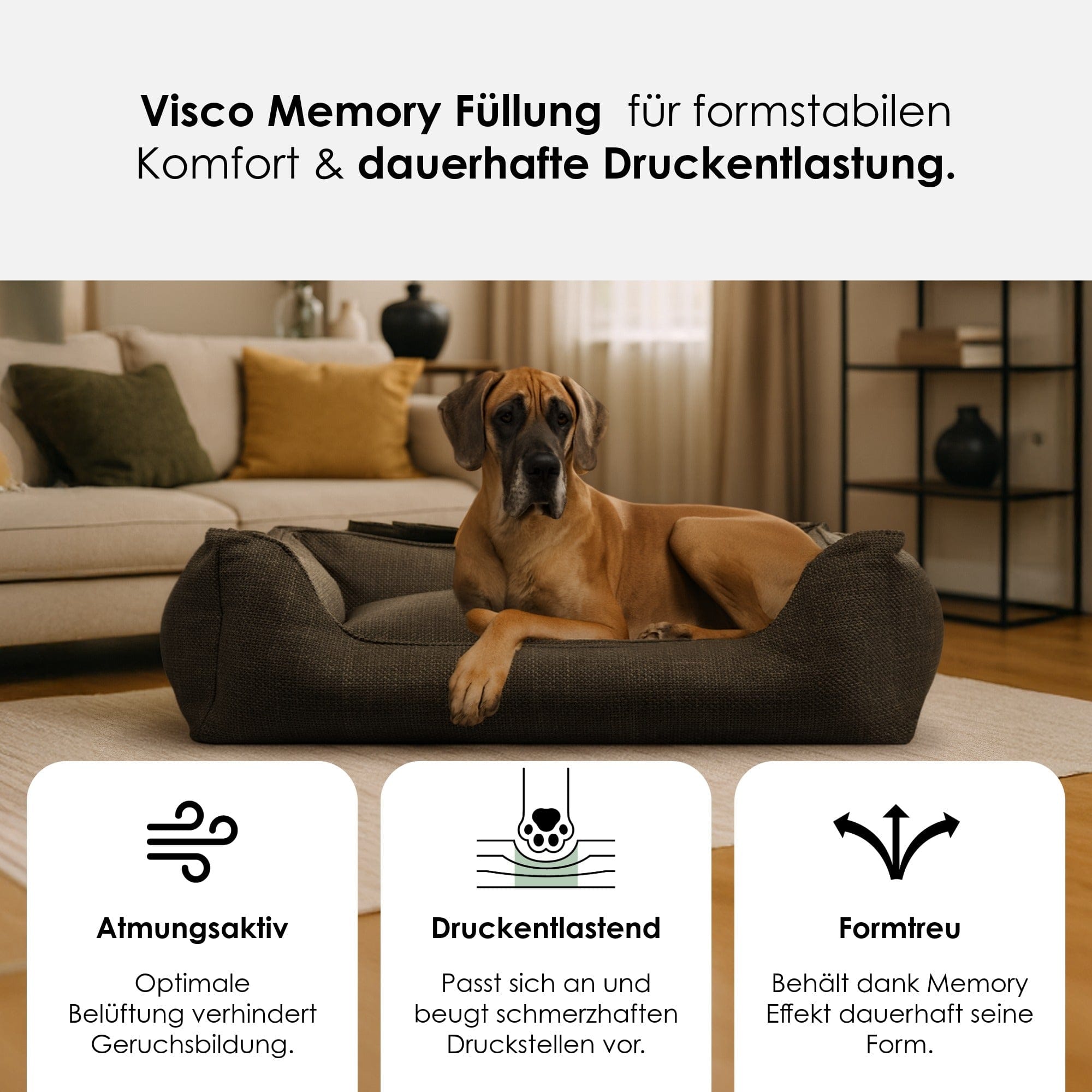Premium Orthopedic Dog Bed Luxe by William Walker