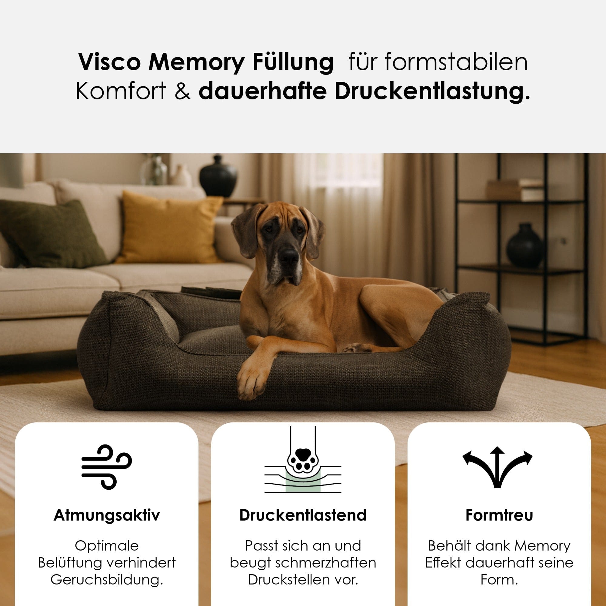 Premium Orthopedic Dog Bed Luxe by William Walker