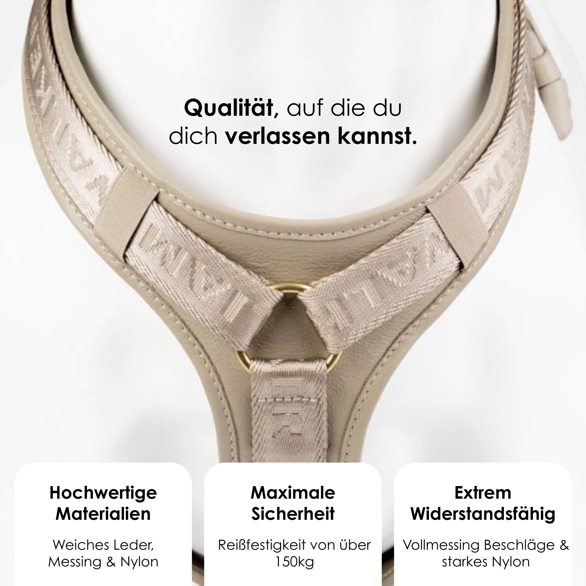 William Walker Leder Y-Hundegeschirr Plain