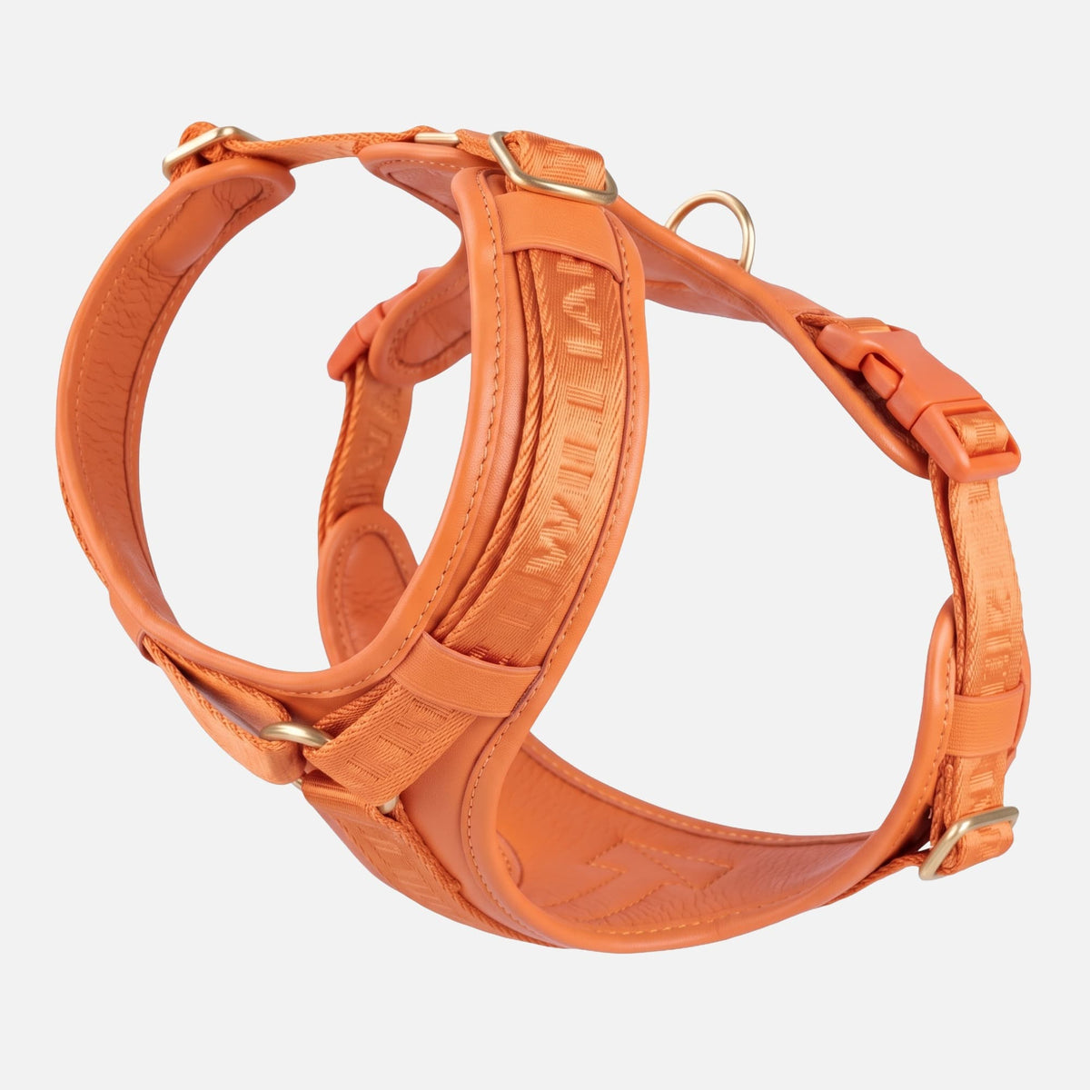 William Walker Hochwertiges Leder Y-Hundegeschirr Plain Amber (orange) / XS