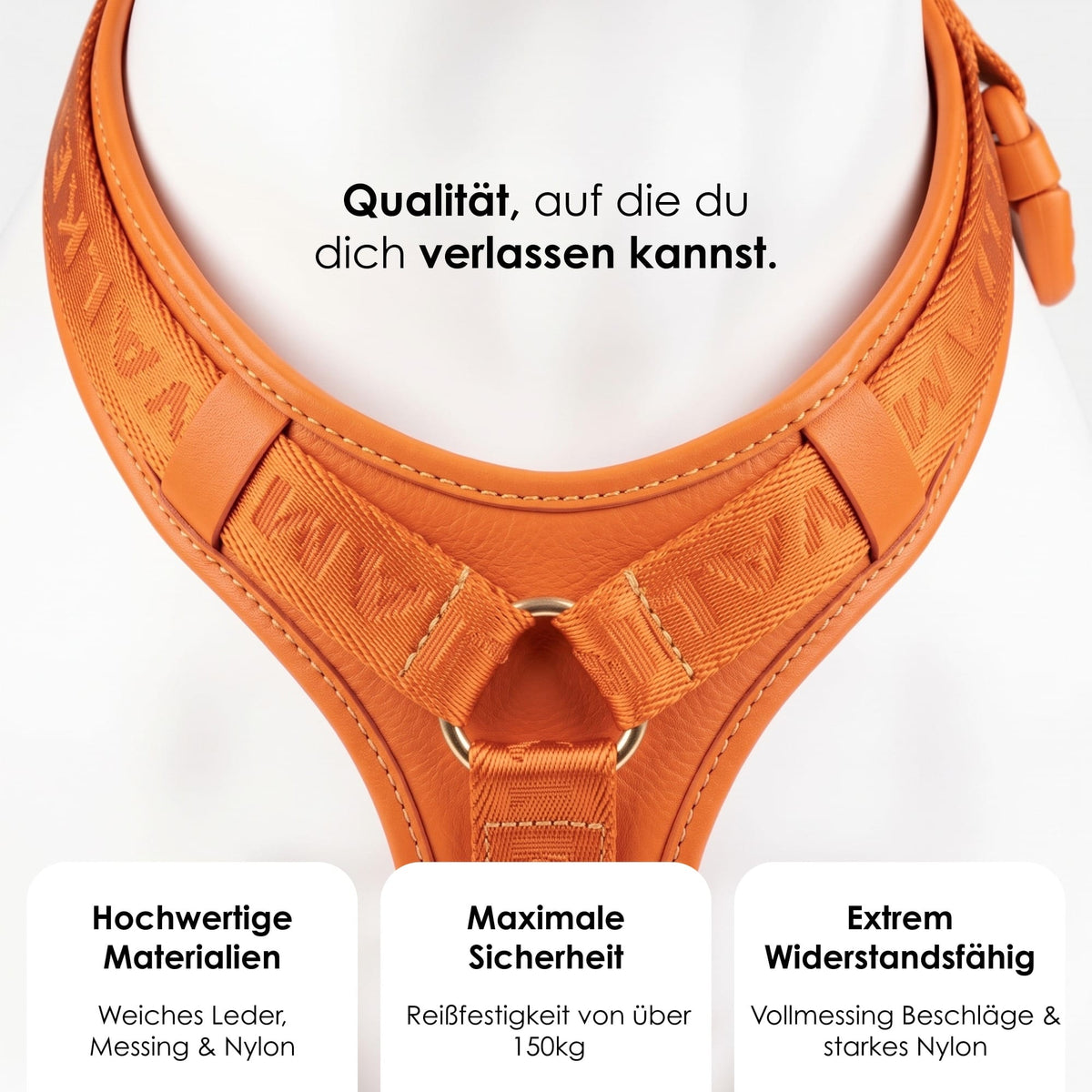 William Walker Hochwertiges Leder Y-Hundegeschirr Plain Amber (orange) / XS