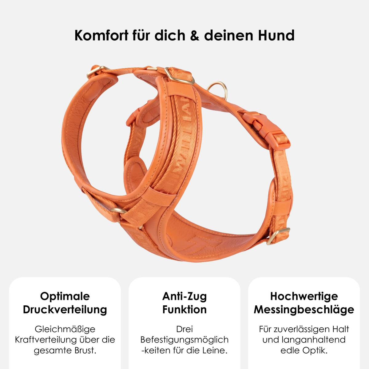 William Walker Hochwertiges Leder Y-Hundegeschirr Plain