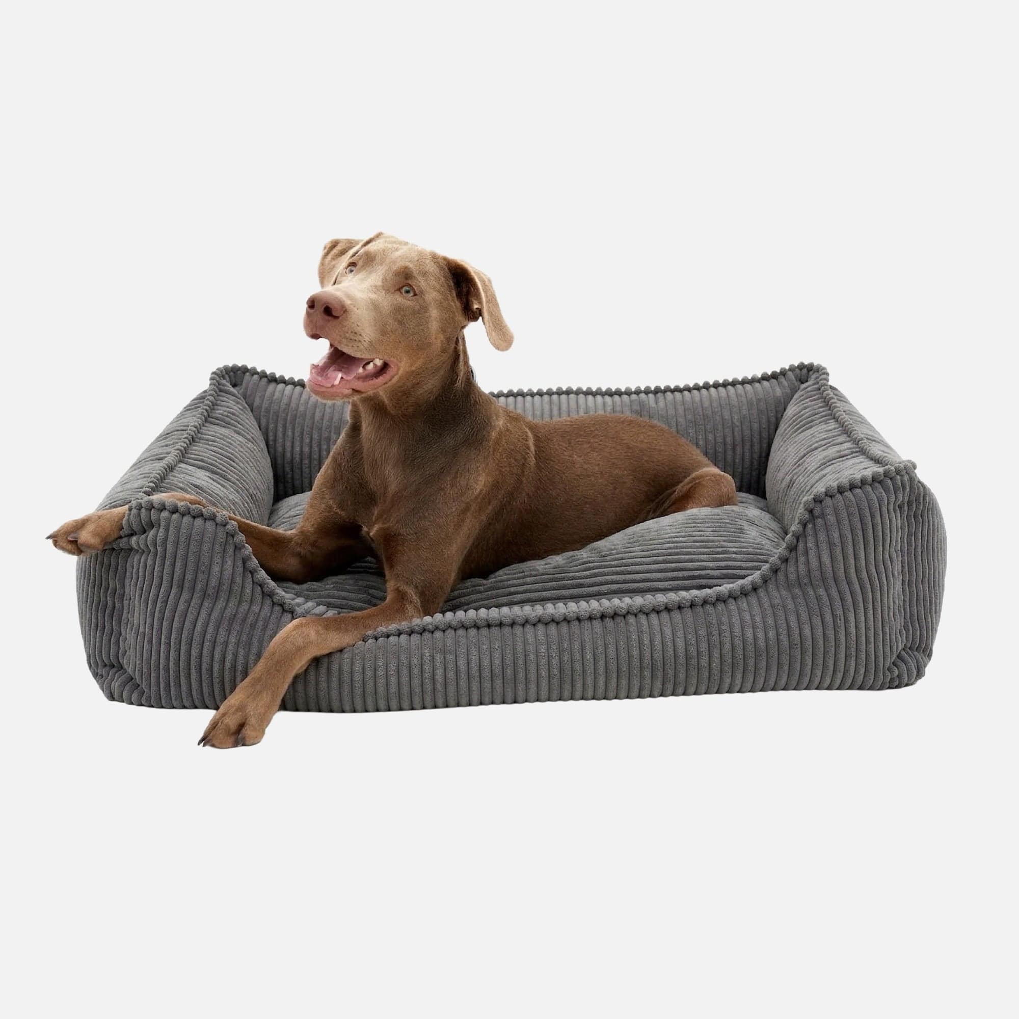 Premium Orthopedic Cord Dog Bed by William Walker