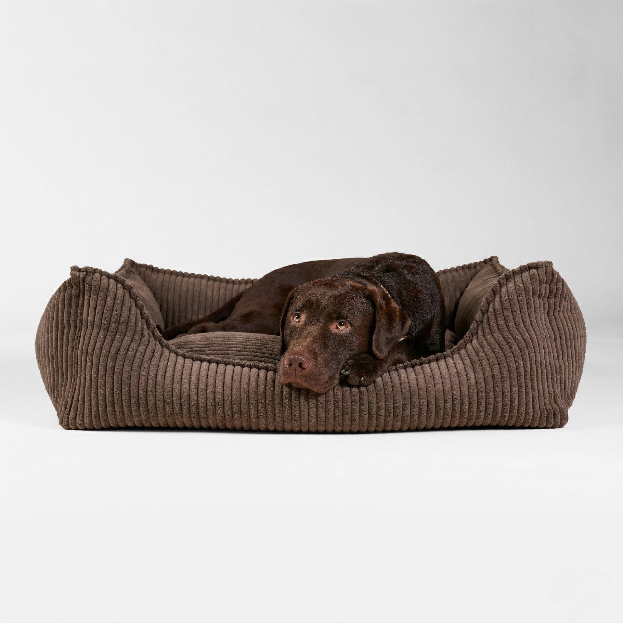 William Walker Orthopädisches Hundebett Cord