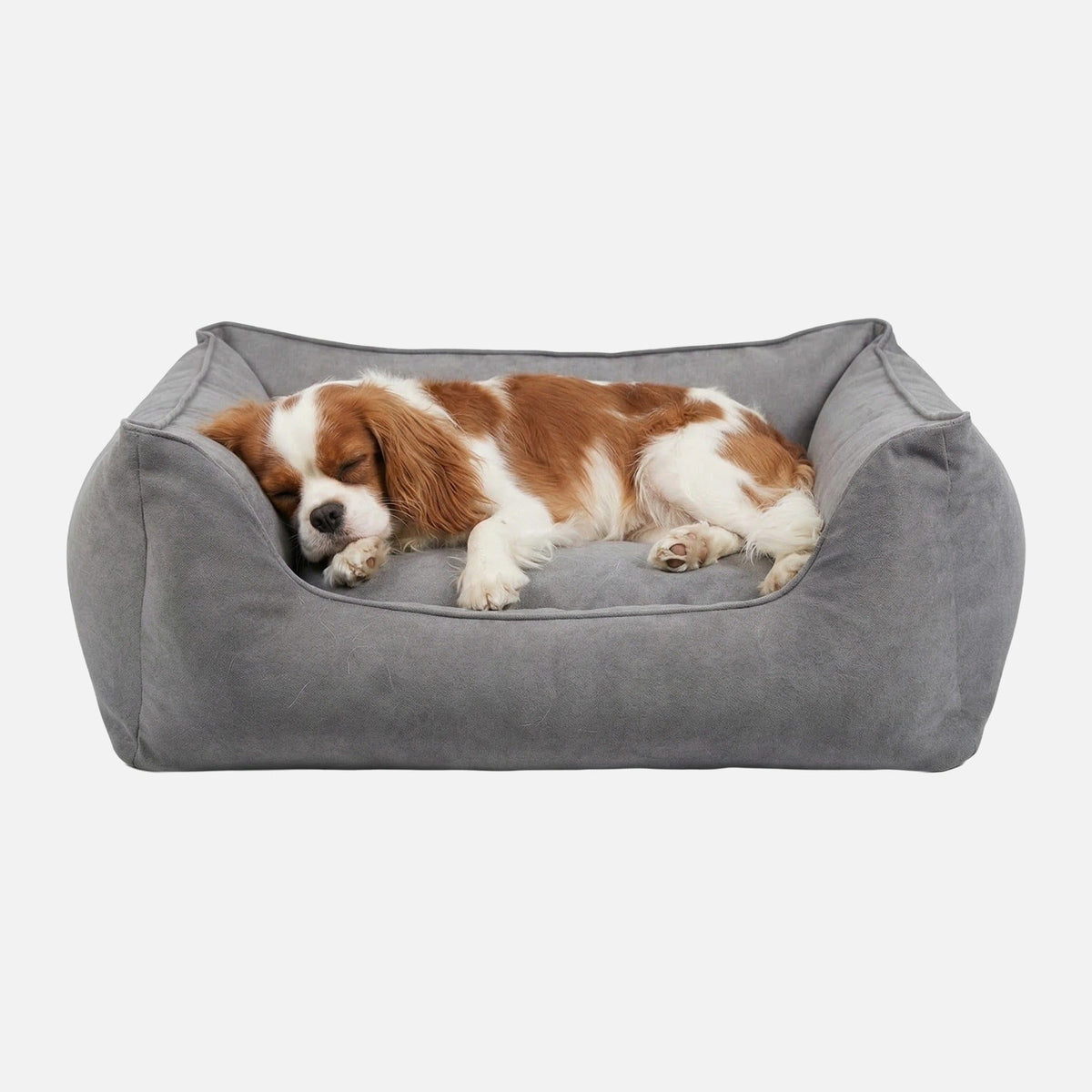William Walker Orthopedische hondenmand Plain Cloud / S / Kissen (Flocken)