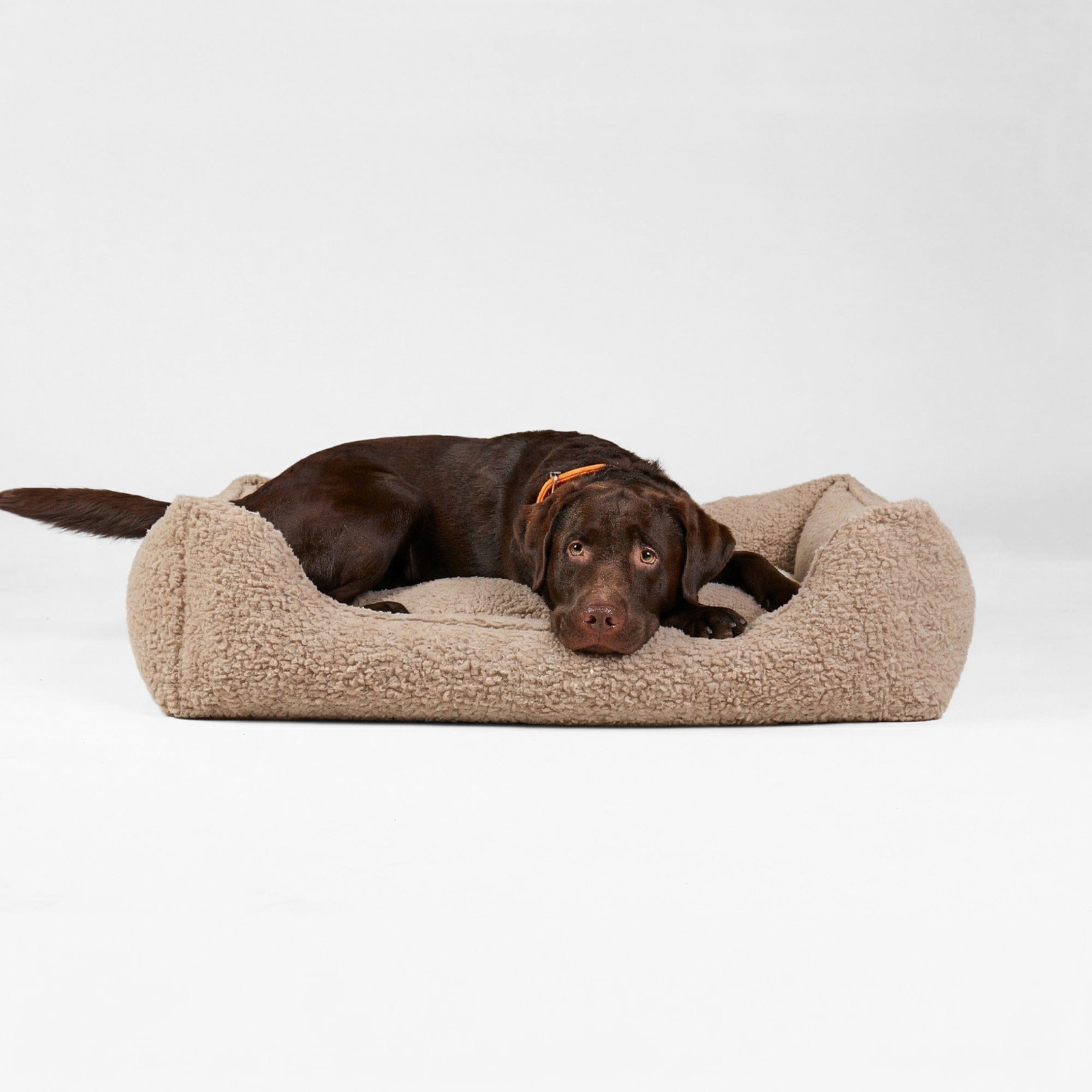 Premium Orthopedic Dog Bed Cozy by William Walker