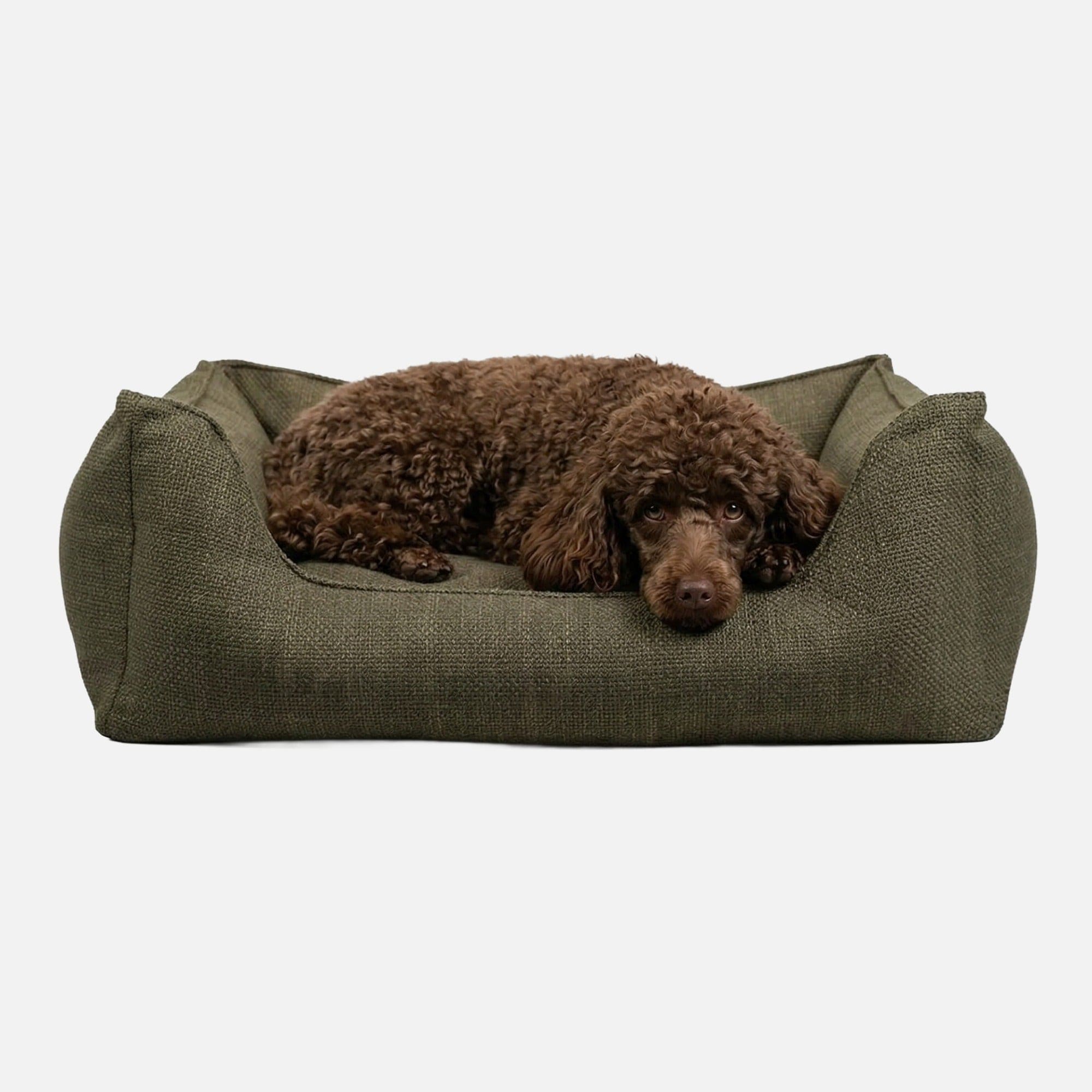 Hochwertiges orthopädisches Hundebett Luxe gegen Gelenkschmerzen