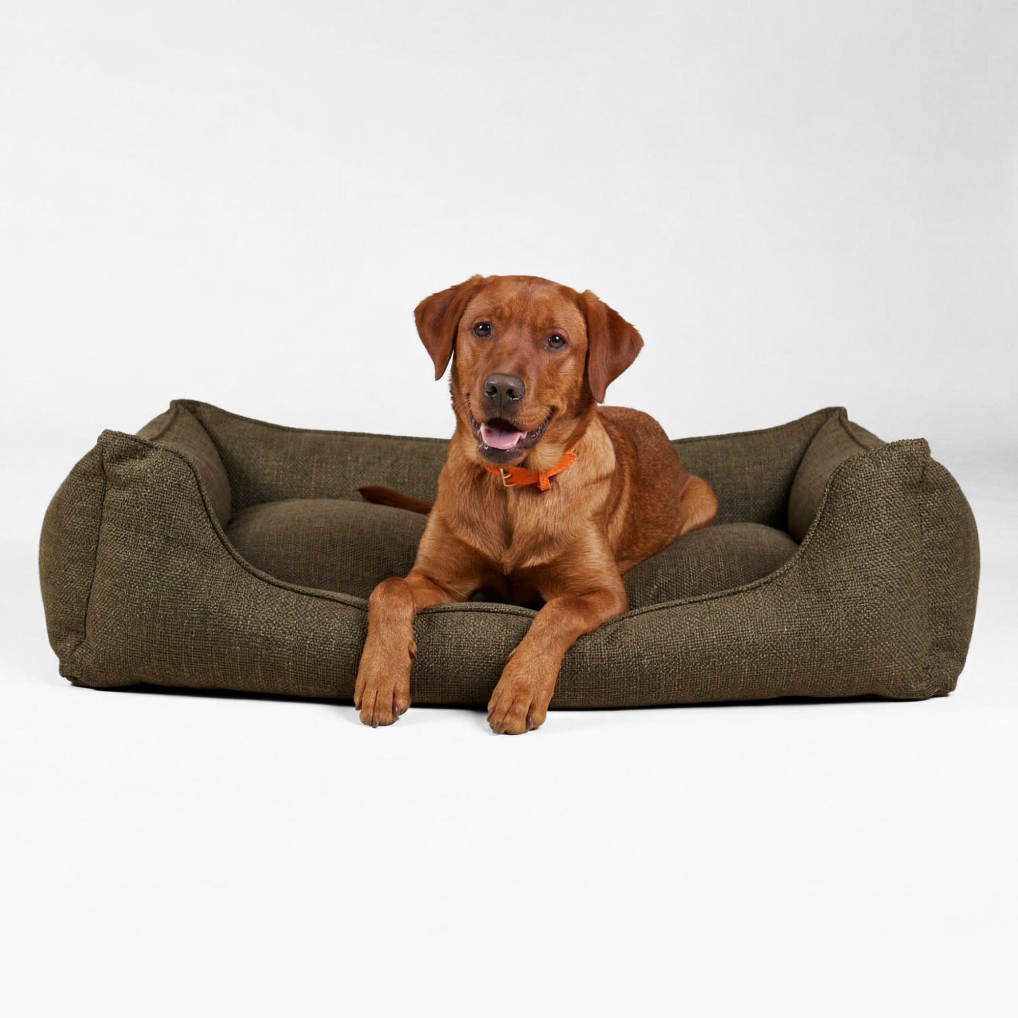 Premium Orthopedic Dog Bed Luxe by William Walker