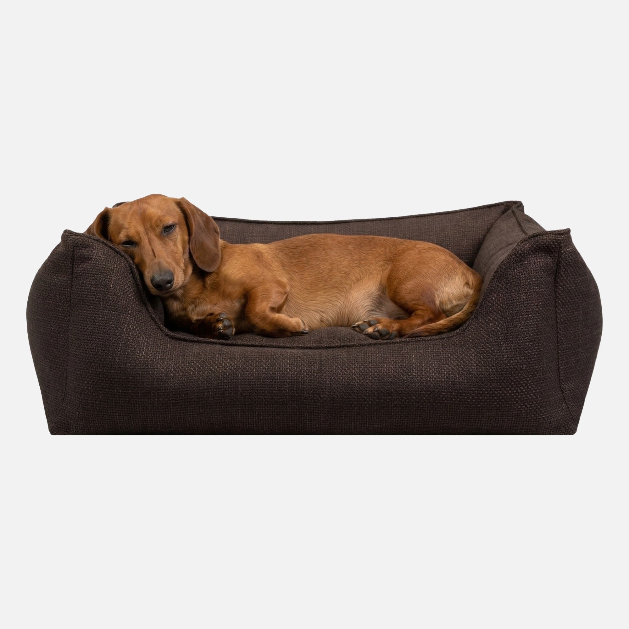 Hochwertiges orthopädisches Hundebett Luxe gegen Gelenkschmerzen