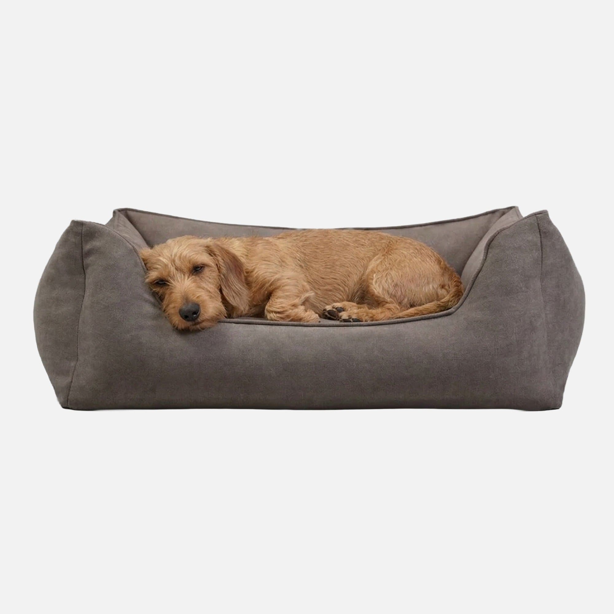新品未開封 ペット用ベッド ドイツ William walker グレー Hochwertiges orthopädisches Hundebett Plain gegen Gelenkschmerzen
