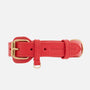 Leder Hundehalsband Chili (Rot)