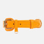 Leder Hundehalsband Curry (Senfgelb) // Limited