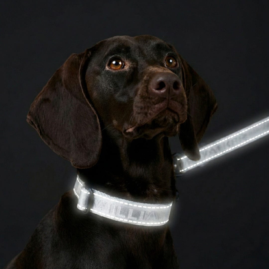 William Walker Jacquard Nylon Hundehalsband Lunar (Reflektierend)