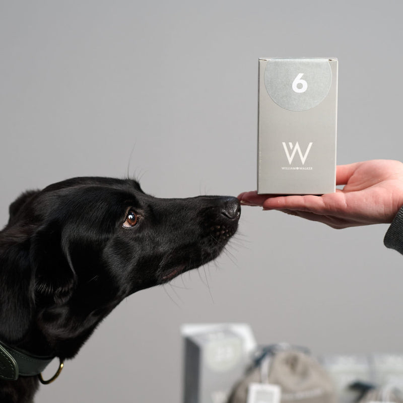 William Walker William Walker Adventskalender