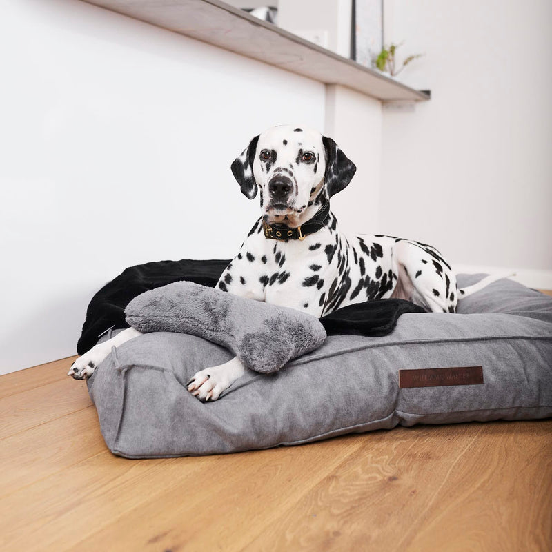 Healthy spot dog beds deals